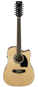 Ibanez 12 String